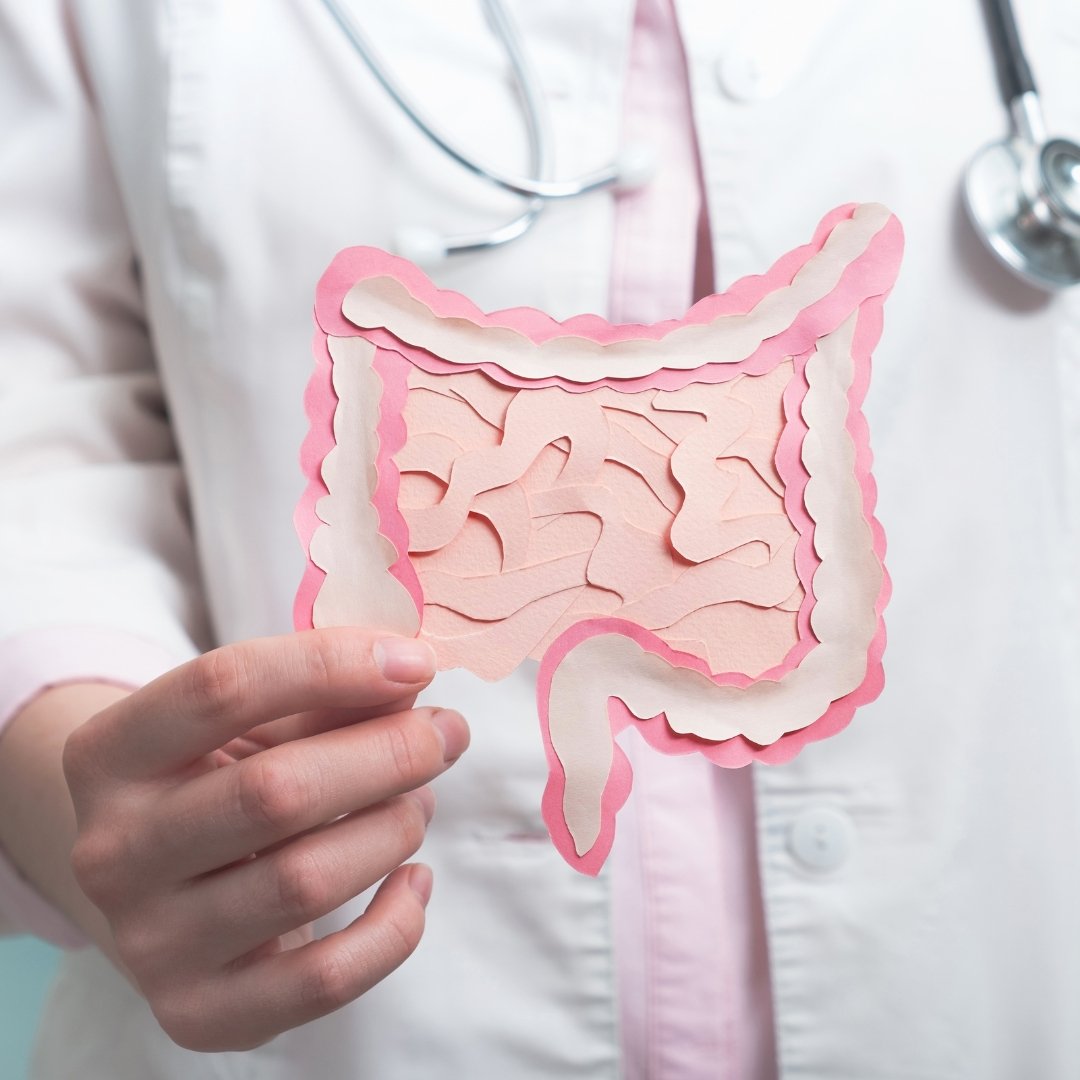 Gastrology in Delhi