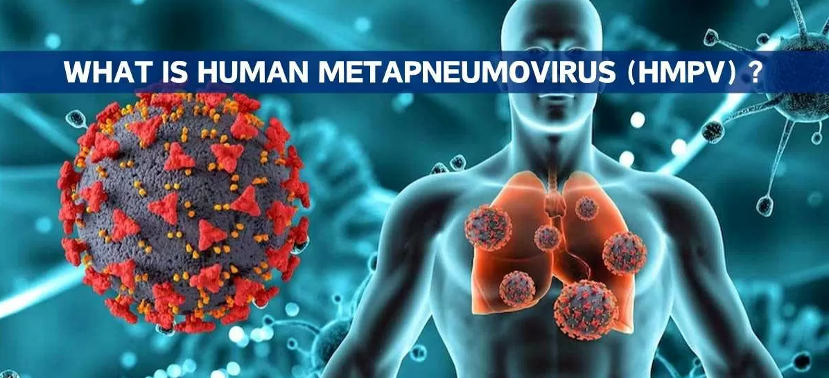 Human Metapneumovirus (HMPV)