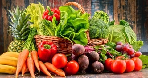 Vegetables with the Least Amount of Fiber